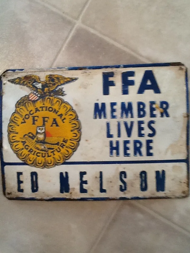 Don’t let him pull the wool over your eyes….