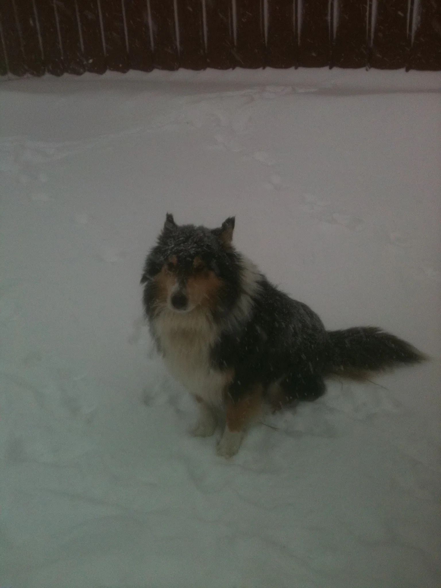 The night I almost made it home