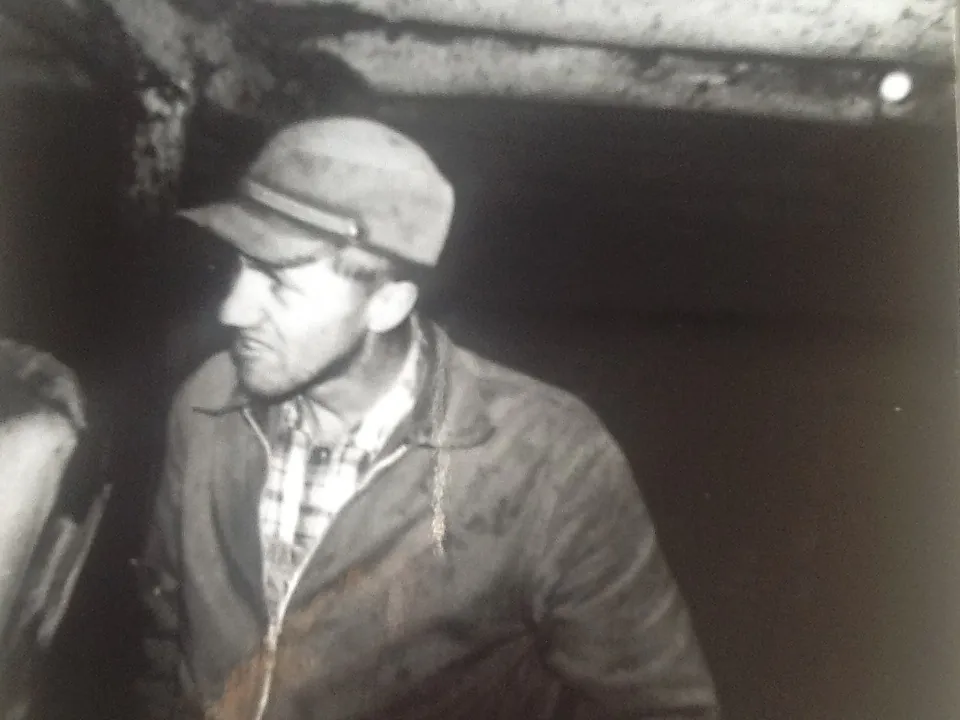 The story of Agnes, the angry bovine