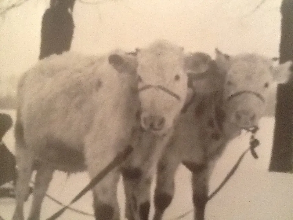 The burdens of brotherhood