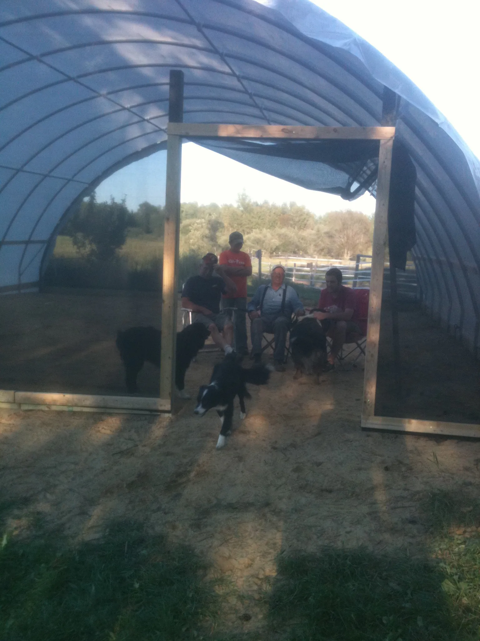 A few details about the Grand Opening