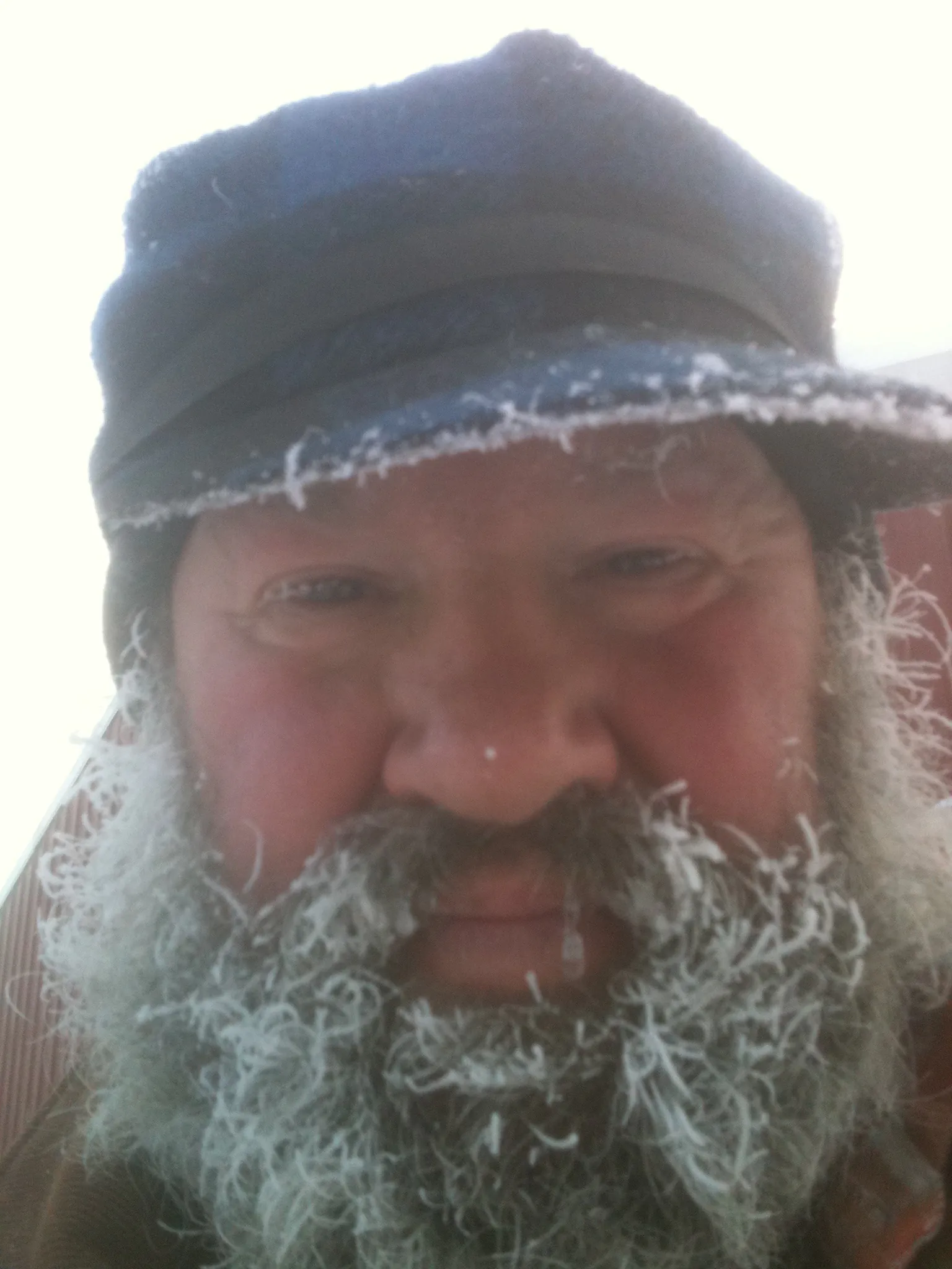 Mr. Ed self portrait, a few frosted whiskers.