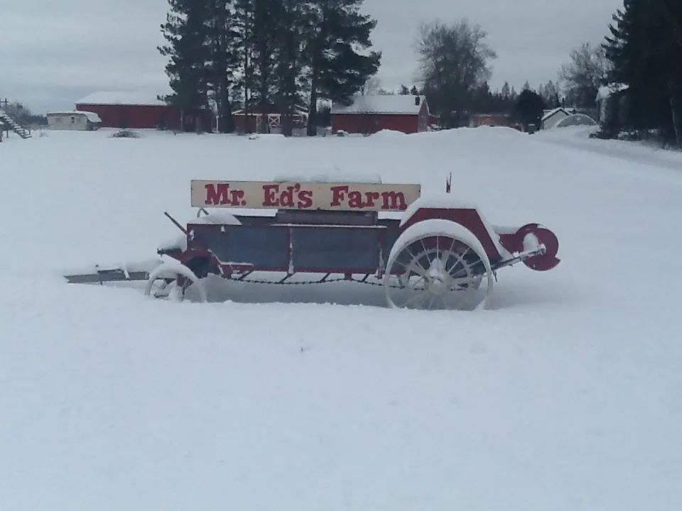 A view from the driveway