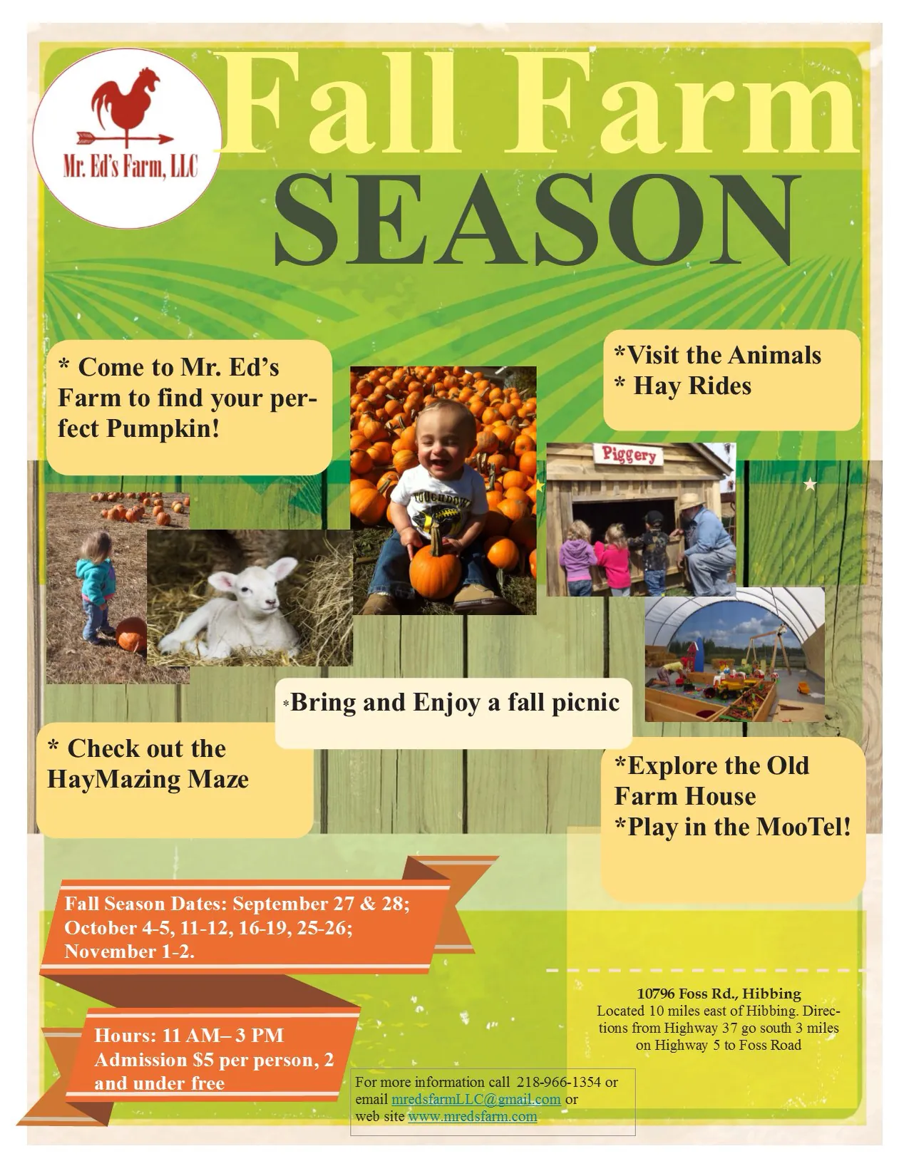 Growing up on Mr. Ed’s Farm