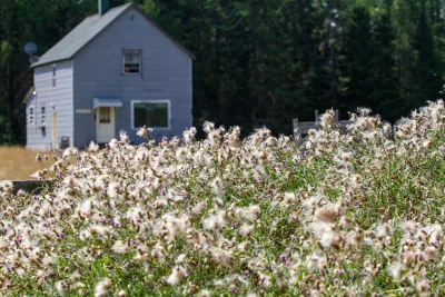 Little Blue House photo 7