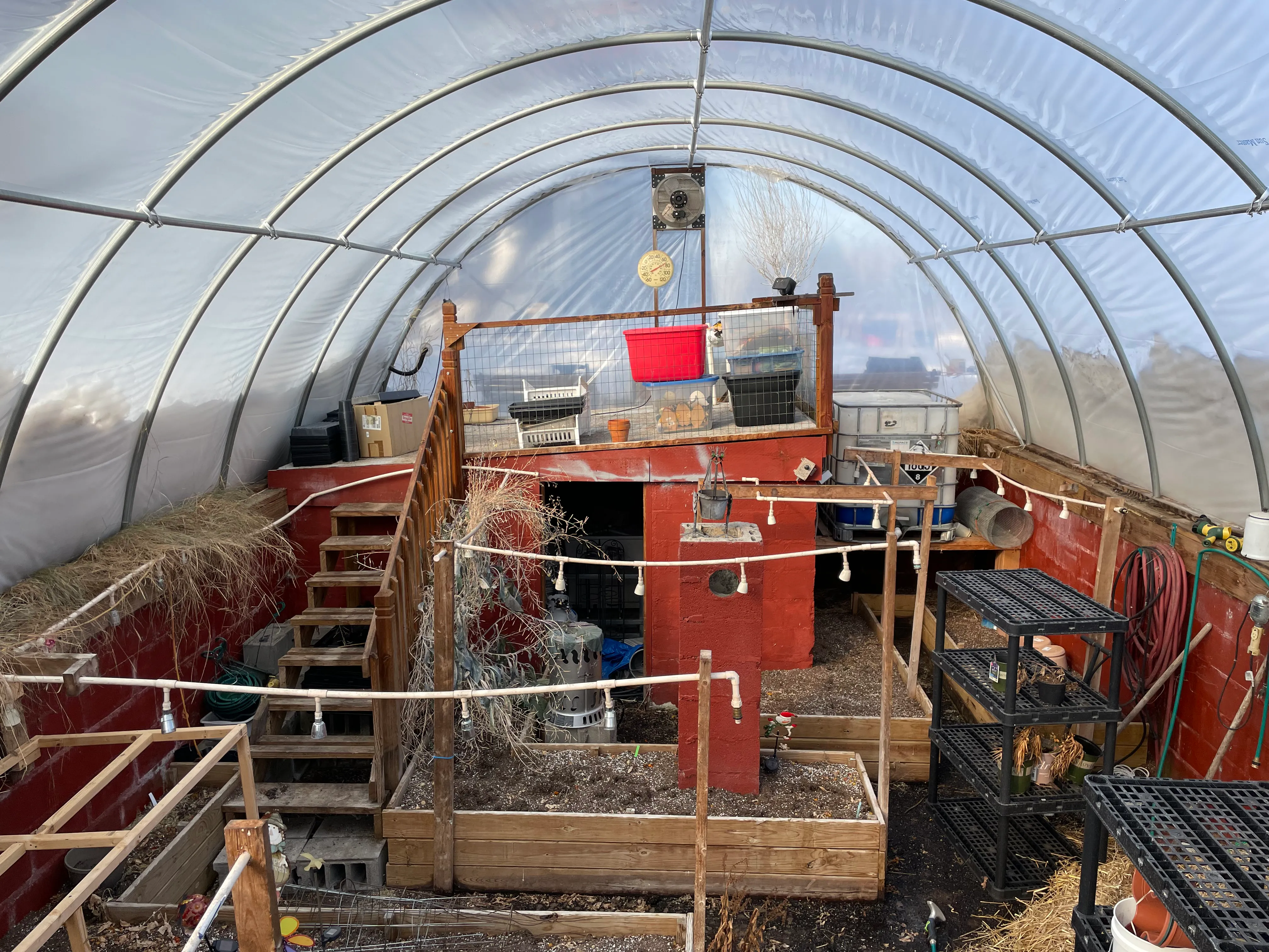 Visitor photo from the farm